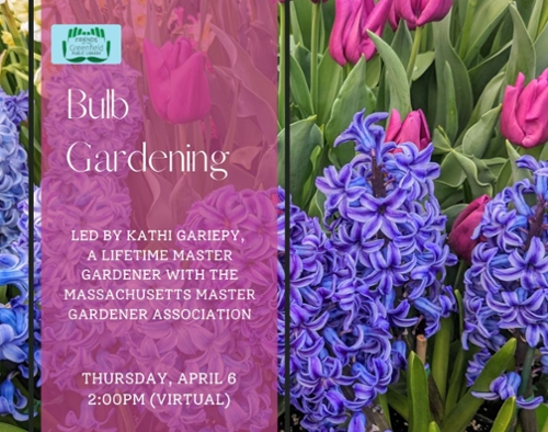 Bulb Gardening
