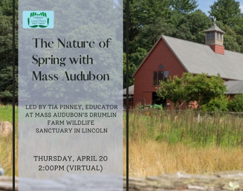 The Nature of Spring with the Mass Audubon
